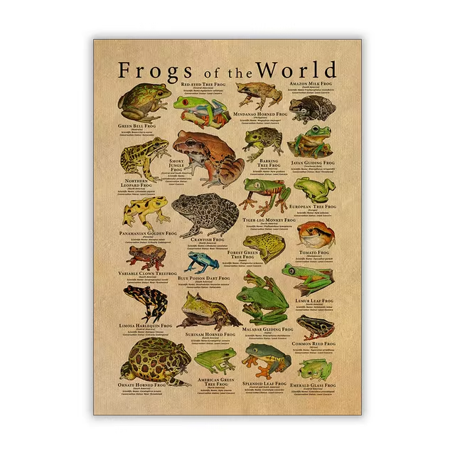 Vintage Frog Poster | Aesthetic Room Decor