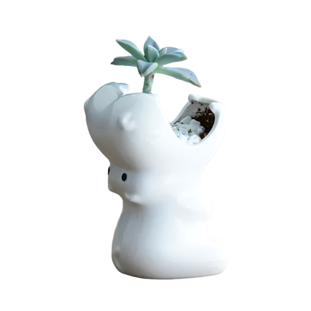 Hippo Ceramic Pot | Aesthetic Room Decor