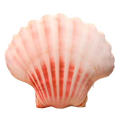 Sea Shell Plushy | Aesthetic Room Decor