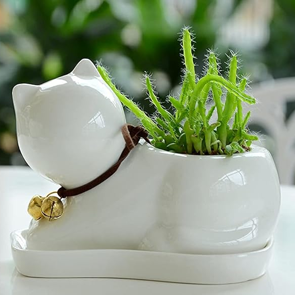 Lazy Cat Planter | Aesthetic Room Decor