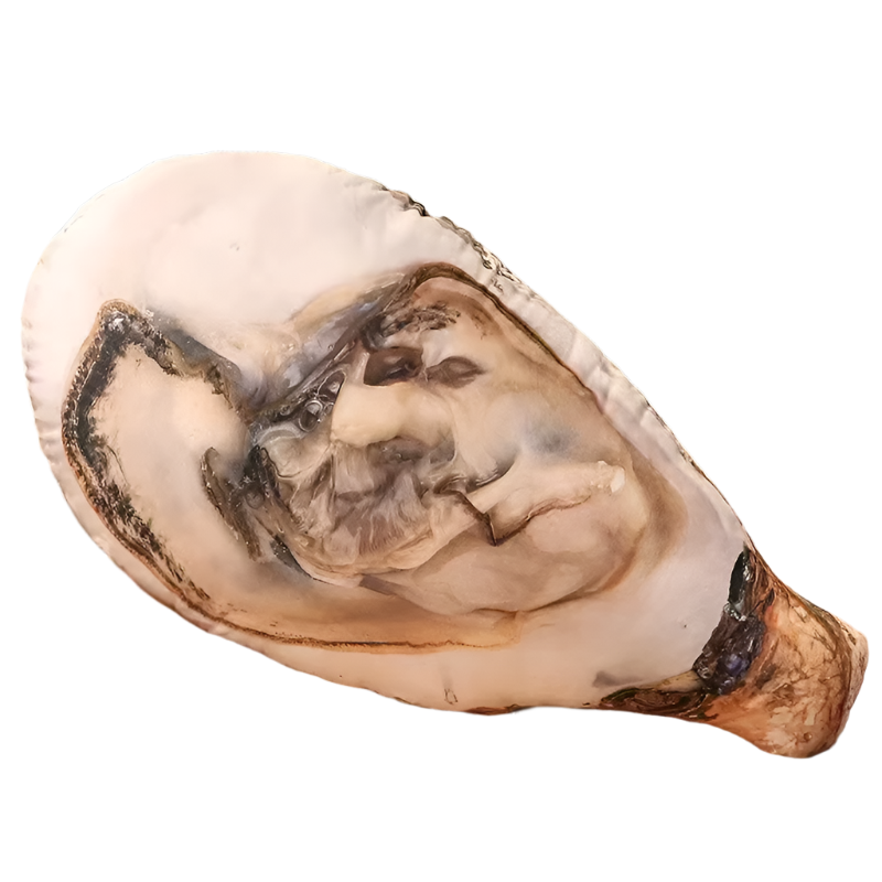 Sea Shell Plushy | Aesthetic Room Decor