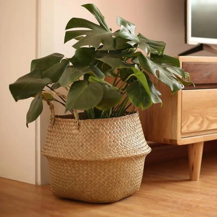 Rattan Plant Holder | Aesthetic Room Decor